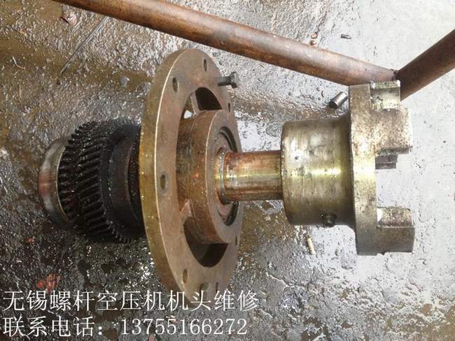 ʮ���c(di��n)�՚≺�s�C(j��)�Ĳ���Ҏ(gu��)��